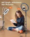 26cm Ring Light with Mobile Holder, Ball Holder, Three Colours